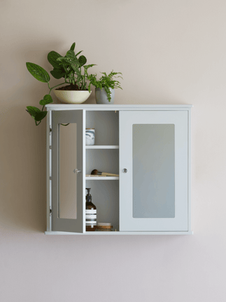 Rochester mirror cupboard